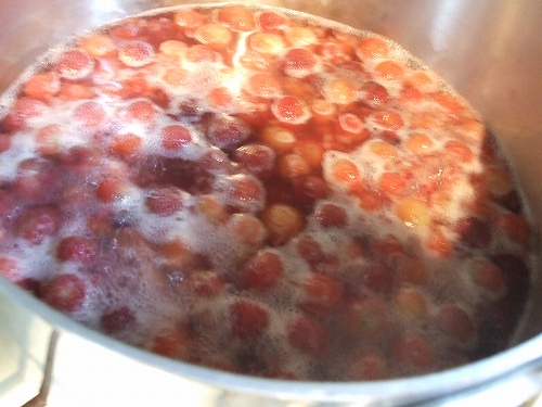 e0006321_17462132.jpg