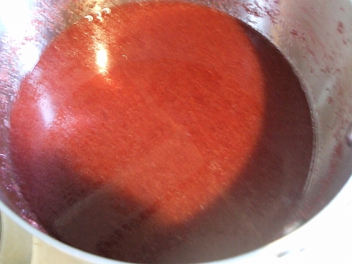 e0006321_17465321.jpg