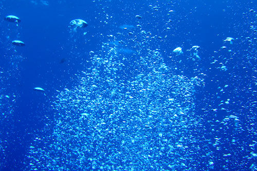 b0044726_22151370.jpg