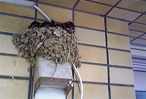 c0127428_15161350.jpg