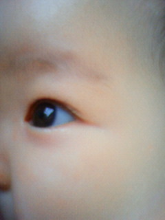 e0036931_02781.jpg