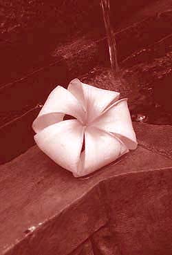 b0035734_13463491.jpg