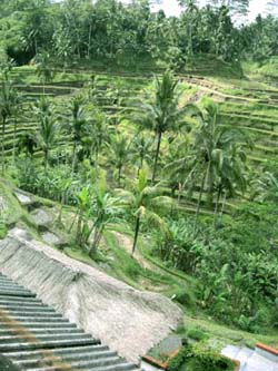 b0035734_2344346.jpg