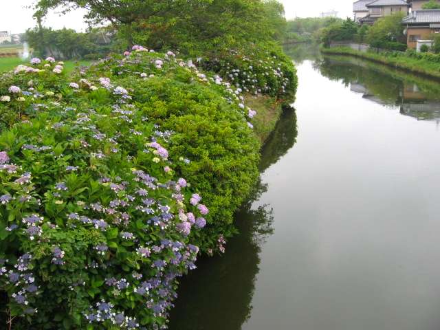 a0095337_9421119.jpg