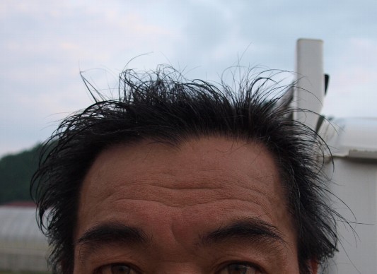 c0072843_1957960.jpg