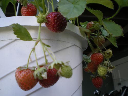 e0016845_14291591.jpg