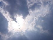 c0060659_61685.jpg
