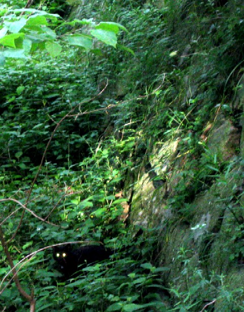 a0007966_12224328.jpg
