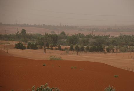 e0066474_5461231.jpg