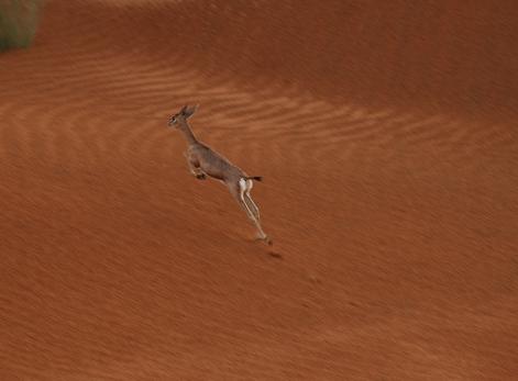 e0066474_5572486.jpg