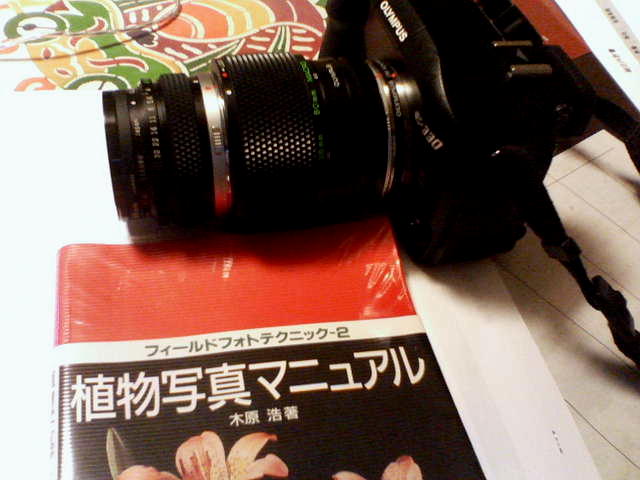 a0007388_178356.jpg