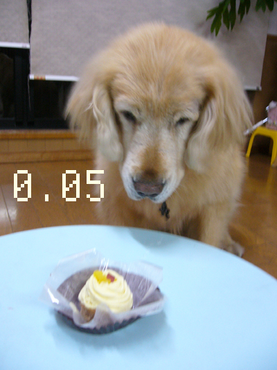 c0085188_21543328.jpg
