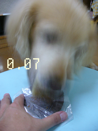 c0085188_21545977.jpg