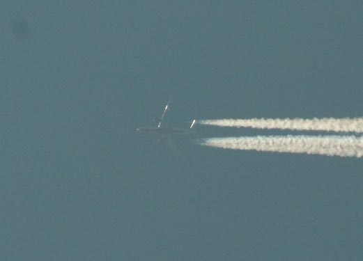 e0100589_1641141.jpg