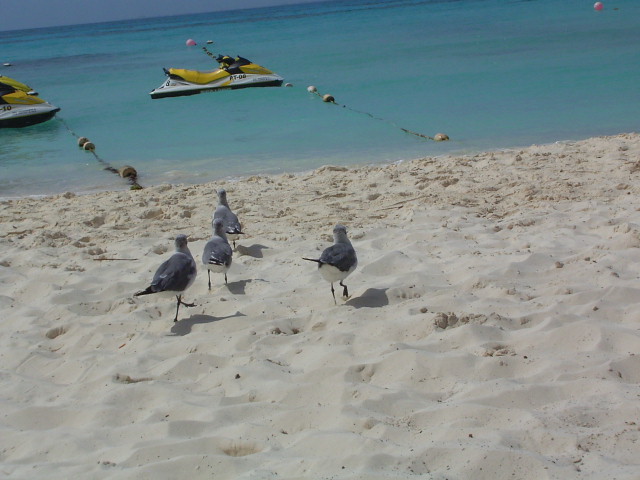 f0161693_21583054.jpg