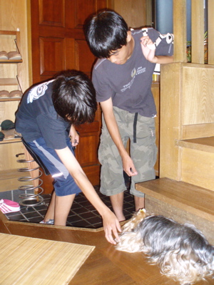 f0130894_21354666.jpg