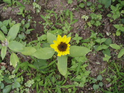 f0130894_21381965.jpg