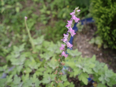 f0130894_21395147.jpg