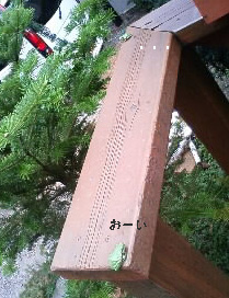 b0124995_140090.jpg