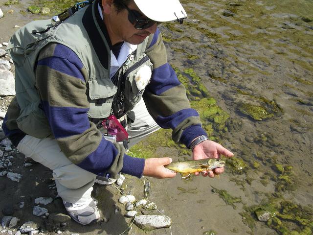 e0144195_2238075.jpg