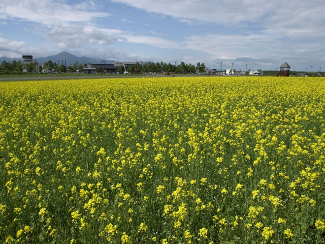 f0020302_20152197.jpg
