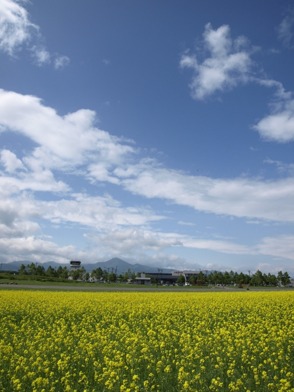 f0020302_20154721.jpg