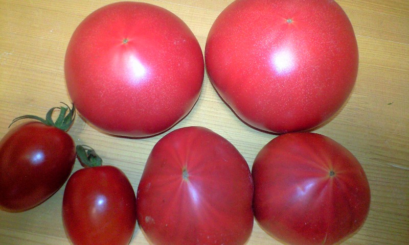 d0000607_186289.jpg