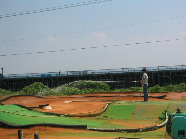 d0070007_21373118.jpg