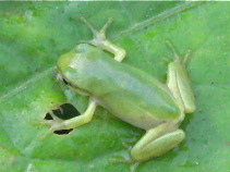 f0128316_6595097.jpg