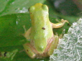 f0128316_752566.jpg