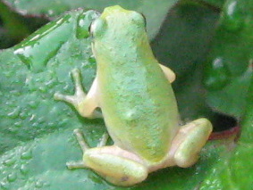 f0128316_754482.jpg