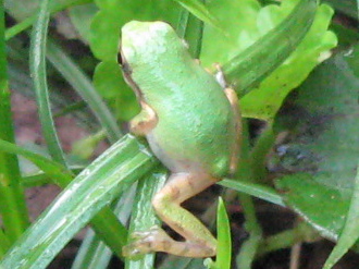 f0128316_76041.jpg