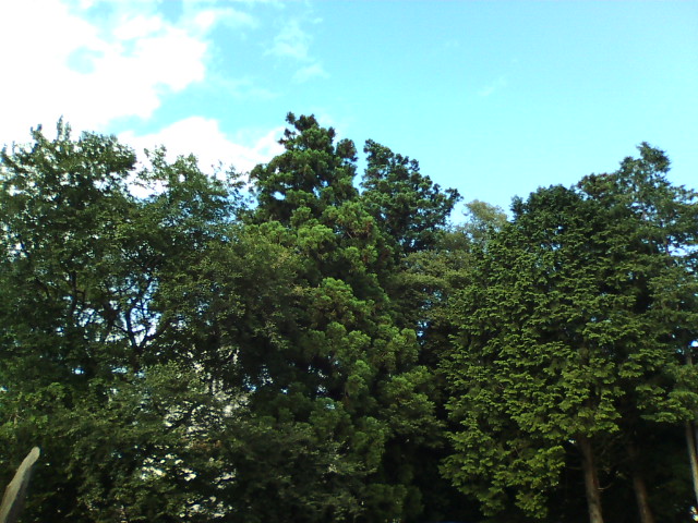 f0126418_1711572.jpg