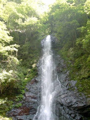 c0007822_23294458.jpg
