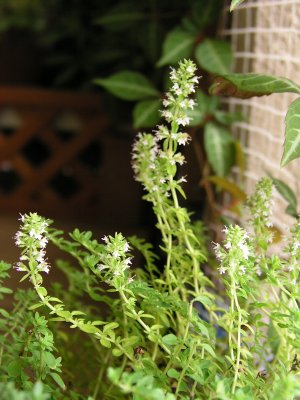 b0031925_951010.jpg