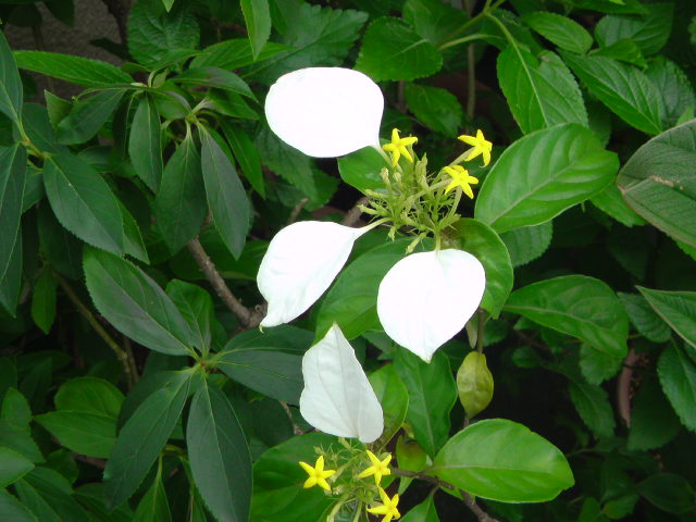 e0016828_8213340.jpg