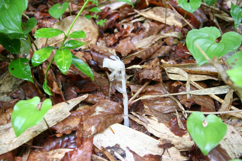 f0017530_16464518.jpg