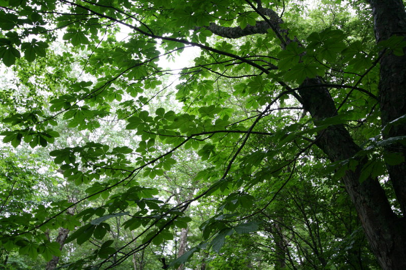 f0017530_17194367.jpg