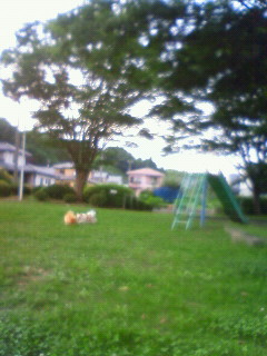 e0036931_0203769.jpg