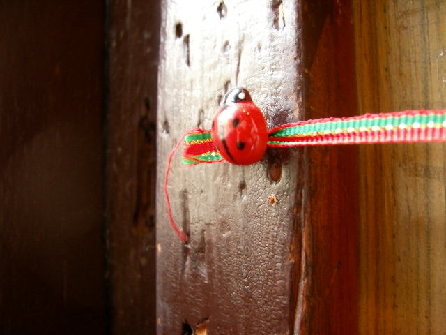 c0158732_1525363.jpg