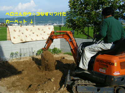 f0008935_15401013.gif
