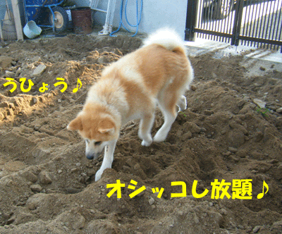 f0008935_15411771.gif