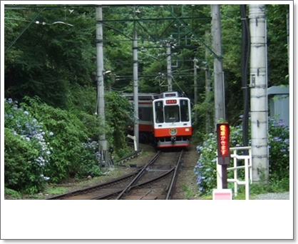 あじさい電車