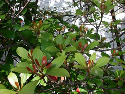 f0115851_165521.jpg