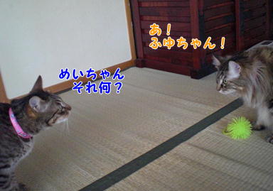 d0139352_0352929.jpg