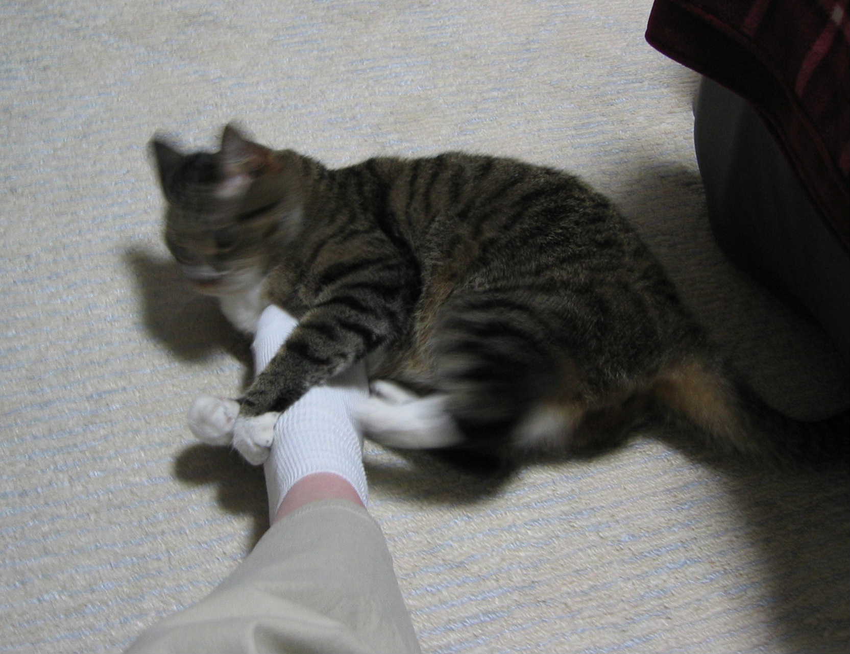c0148165_22414941.jpg