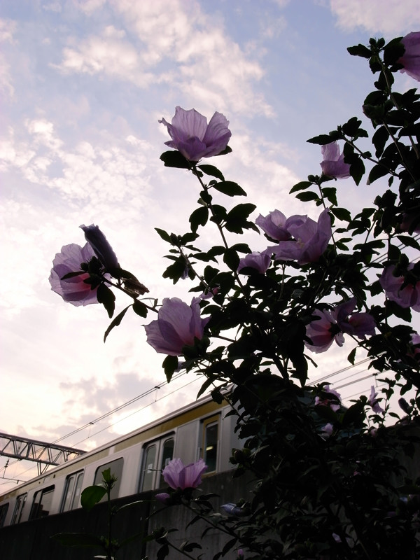 c0084666_01192.jpg
