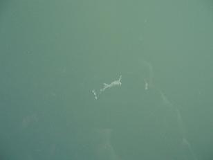 f0007166_2328437.jpg