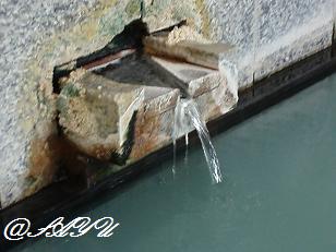 f0007166_232962.jpg