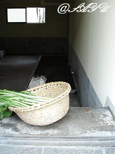 f0007166_2330117.jpg